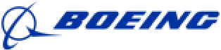 Boeing icon